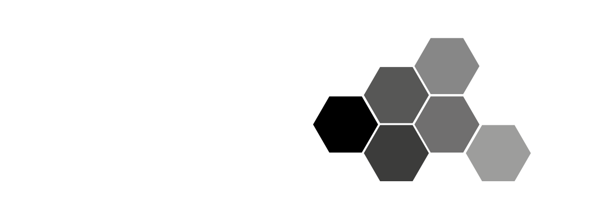 dn42 logo
